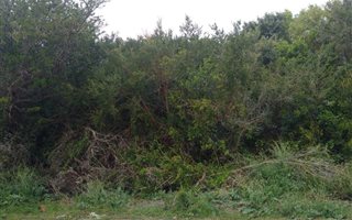 594 m² Land available in Aston Bay