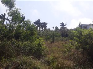 1281 m² Land available in Uvongo