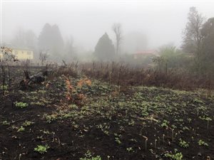 1013 m² Land available in Bulwer