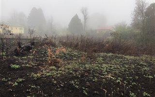 1013 m² Land available in Bulwer