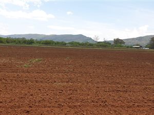 40 ha Farm in Hekpoort