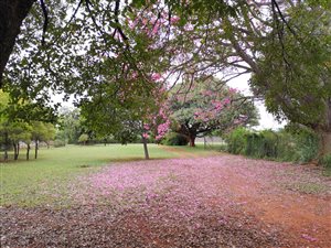 2 ha Farm in Heatherdale