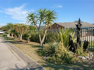 3 Bed House in Beachview