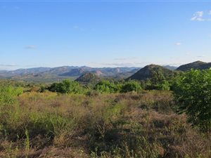 1000 m² Land available in Machadodorp
