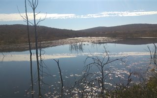 2646 ha Land available in Mookgophong (Naboomspruit)