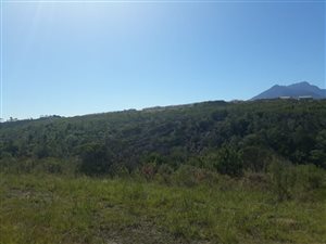 1569 m² Land available in Welgelegen