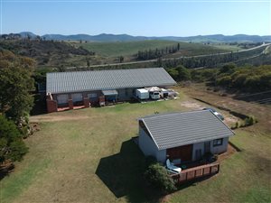 5 Bed House in Thornhill