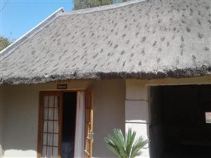 7 Bed House in Orkney