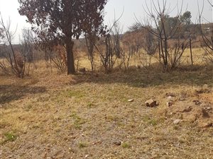 6.1 ha Farm in Bultfontein