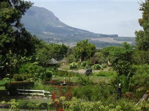 1.3 ha Farm in Paradyskloof