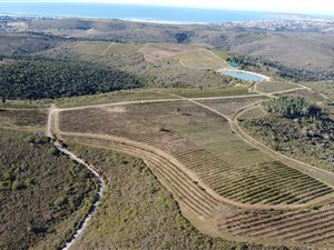 259 ha Farm with House in Wittedrift