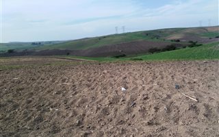40 ha Farm in Darnall