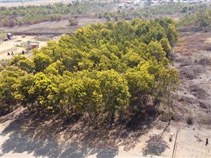 5005 m² Land available in Rietfontein