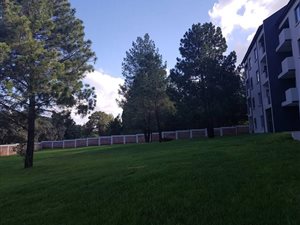 2 Bed Apartment in Glen Austin