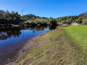 17.2 ha Farm in Buffels Bay