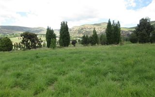 714 m² Land available in Clarens