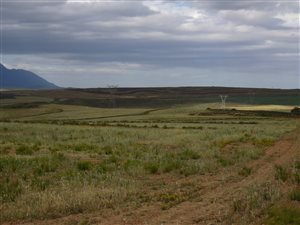 1260 ha Farm in Swellendam