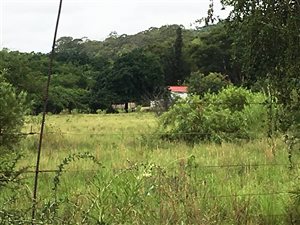 13 ha Farm in Derdepoort