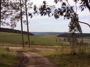 51 ha Farm in Harding