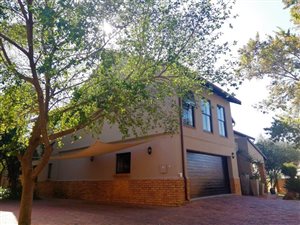 6 Bed House in Willowbrook
