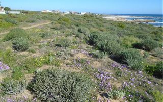 3100 m² Commercial space in Lamberts Bay