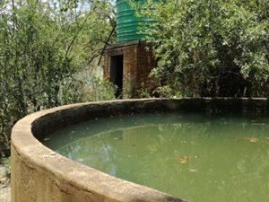 46.6 ha Farm in Koster