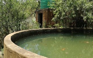 46.6 ha Farm in Koster