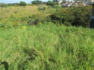 684 m² Land available in Shallcross