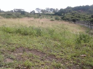 3499 m² Land available in Mkondeni
