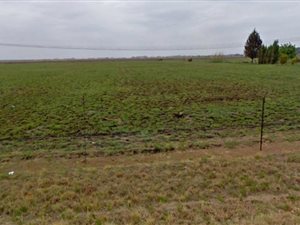 2.3 ha Land available in Glendonald AH