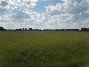 3.5 ha Farm in Marlbank