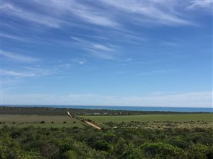 10 ha Farm in Paternoster