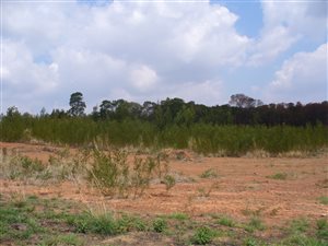 5004 m² Land available in Rietfontein