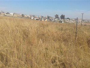 1 ha Land available in Austin View