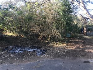 894 m² Land available in Cintsa