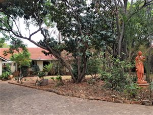 7 Bed House in Menlo Park