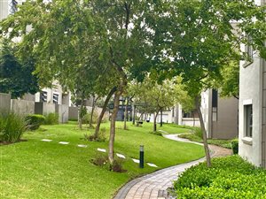 Studio Apartment in Fourways
