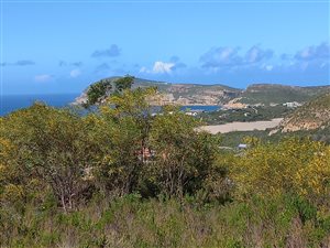 1000 m² Land available in Whale Rock