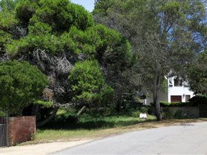 1535 m² Land available in Lower Robberg