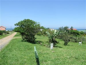 1018 m² Land available in Port Edward