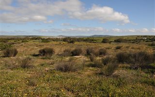 2 ha Land available in Long Acres
