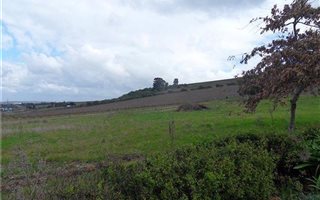 42.8 ha Farm in Stellenbosch Agricultural