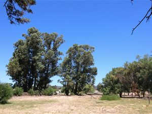 744 m² Land available in Redelinghuys