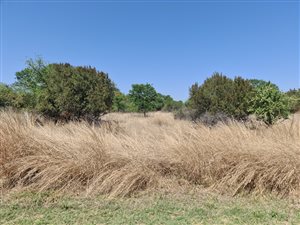 1 ha Land available in Leeuwfontein Estate