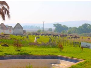 4.4 ha Land available in Gardenvale