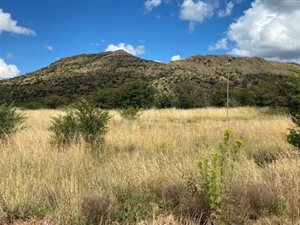 2253 ha Farm in Queenstown