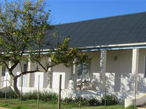 3 Bedroom House in Napier