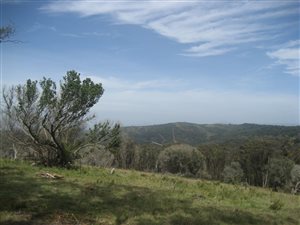 32 ha Land available in Thornhill