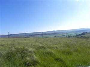 312 ha Farm in Bethlehem