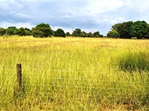 2.6 ha Land available in Grootvlei